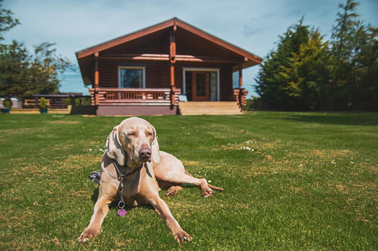 Tomatin - Luxury Two Bedroom Log Cabin With Hot Tub Berwick Upon Tweed Bagian luar foto